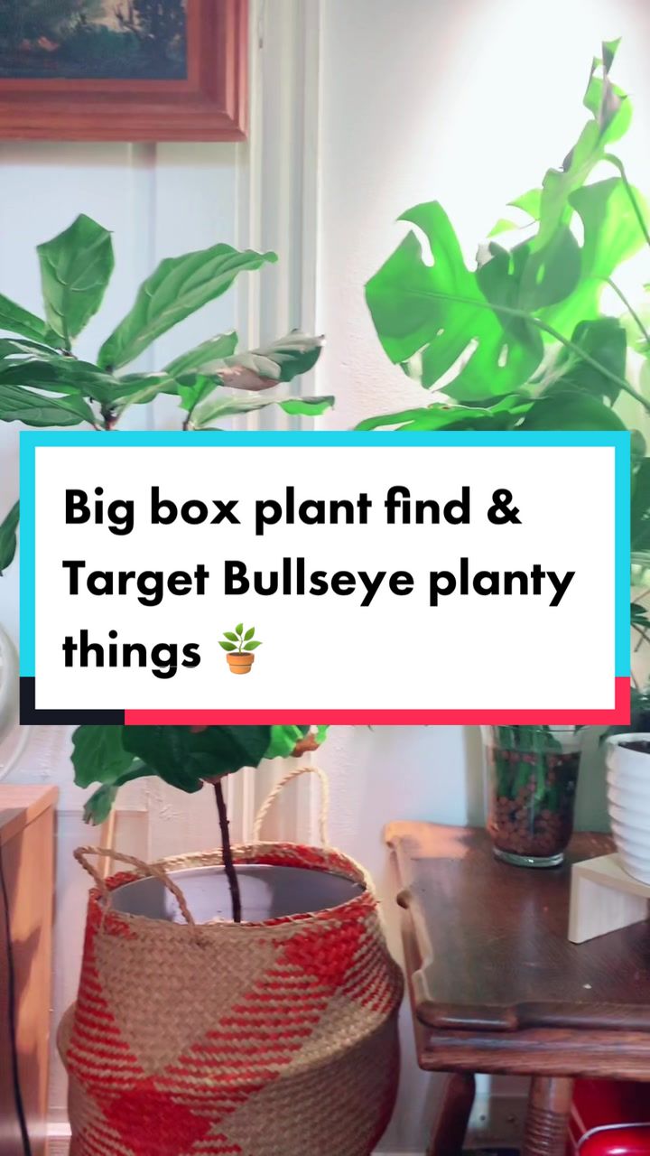 @Island_Plant_Mama