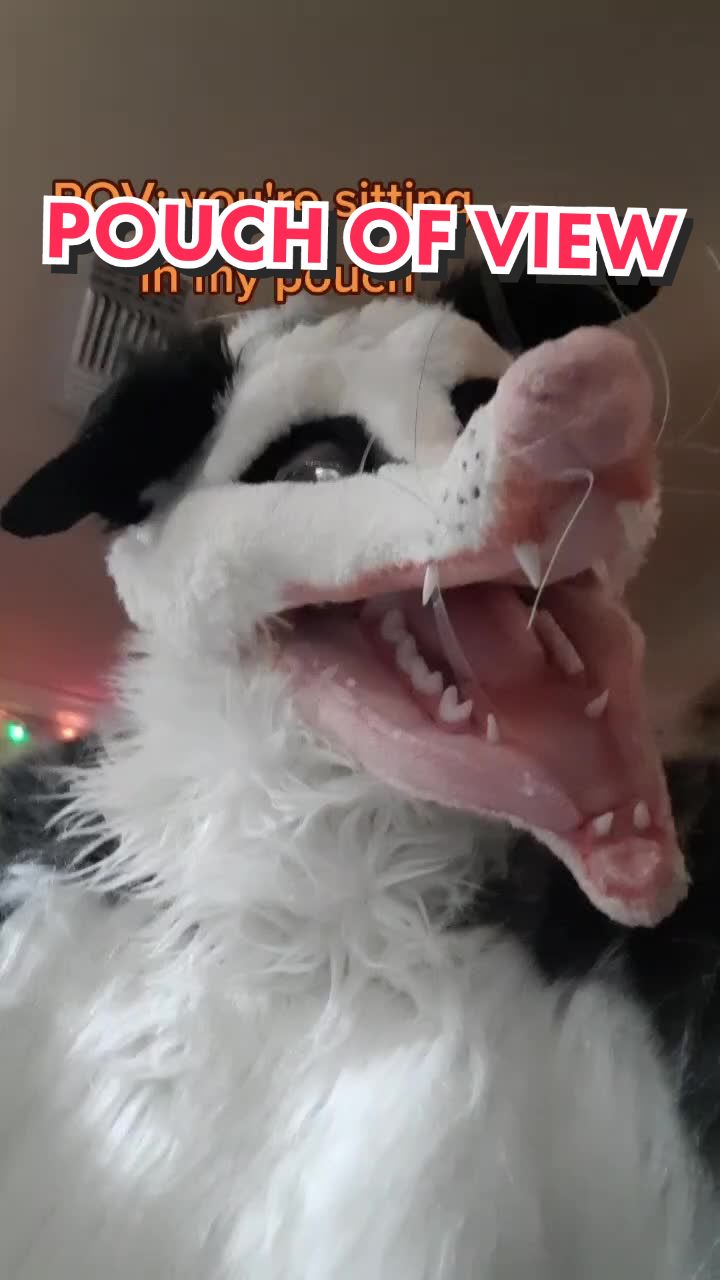 @ProfessorBees