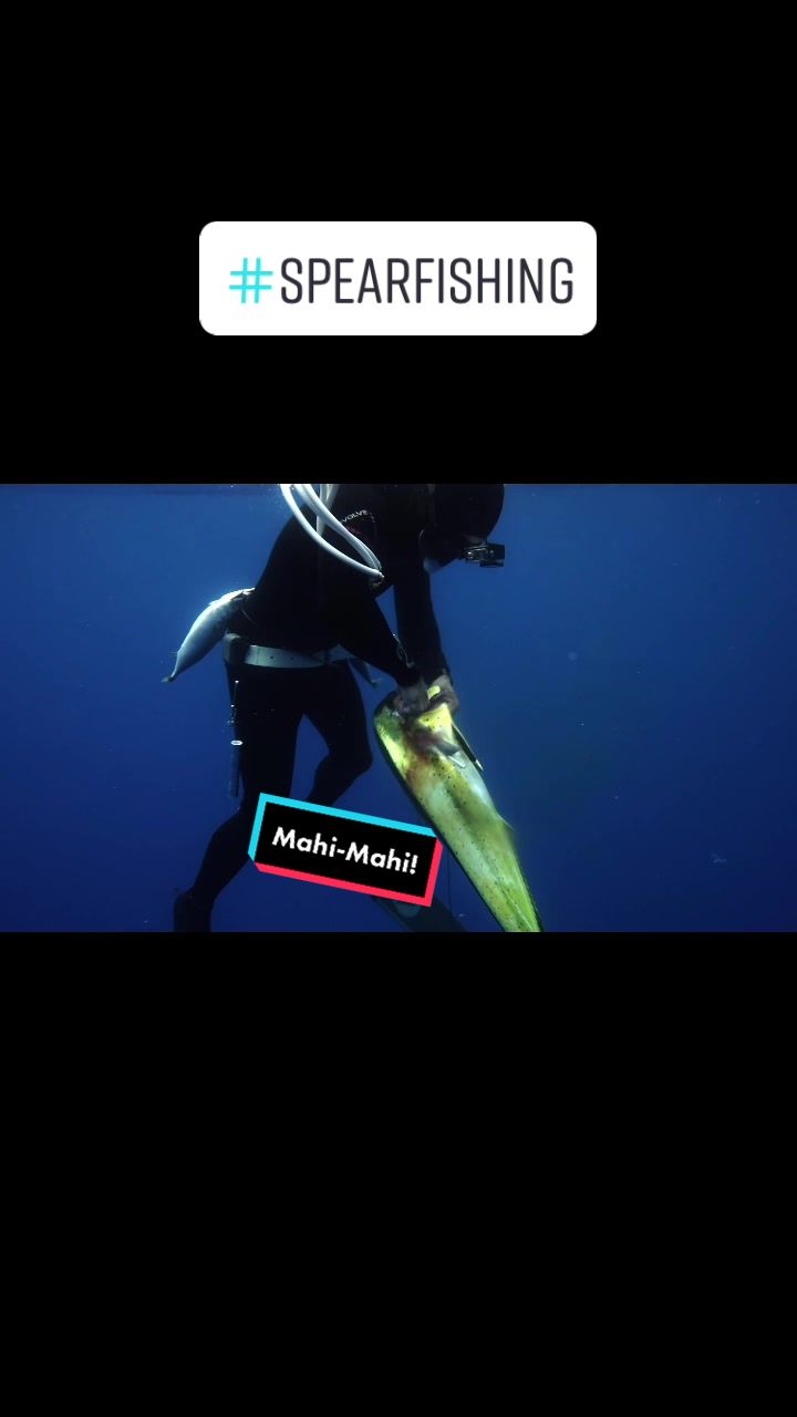 @kairosspearfishing