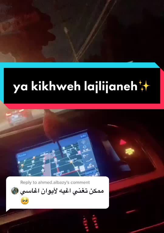 @ابو الليل
