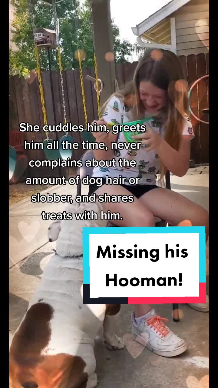@Kim