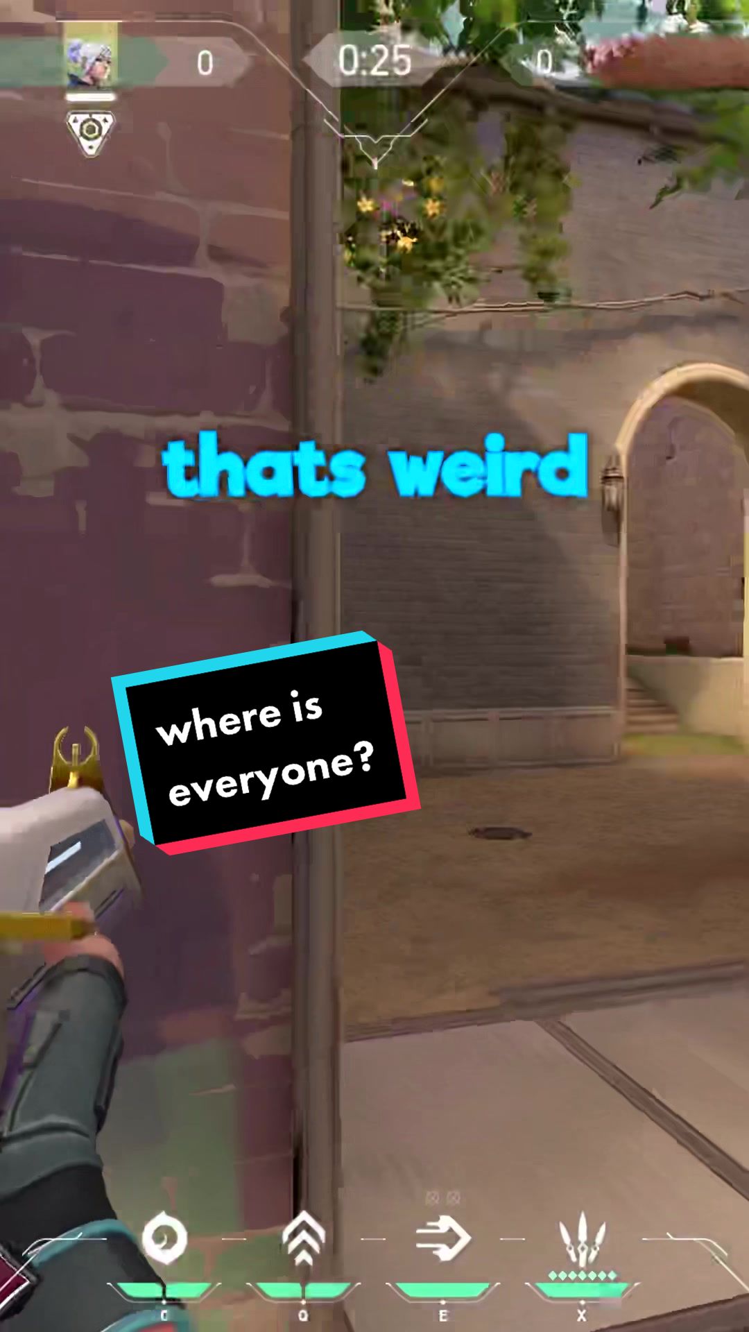 @hsho