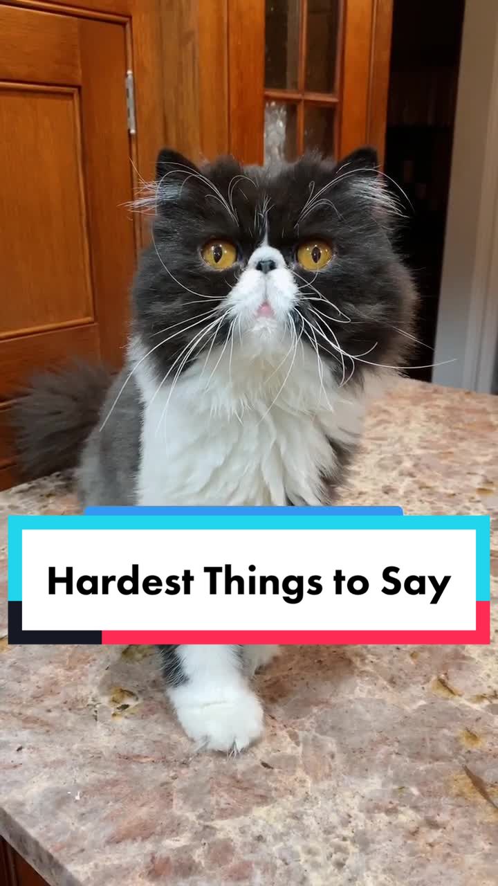 @Walter Bishop The Cat