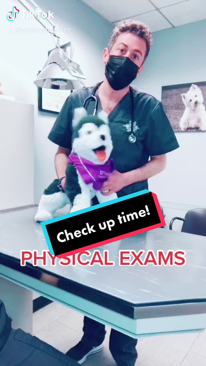 @Dr. Spencer J. Herman, DVM