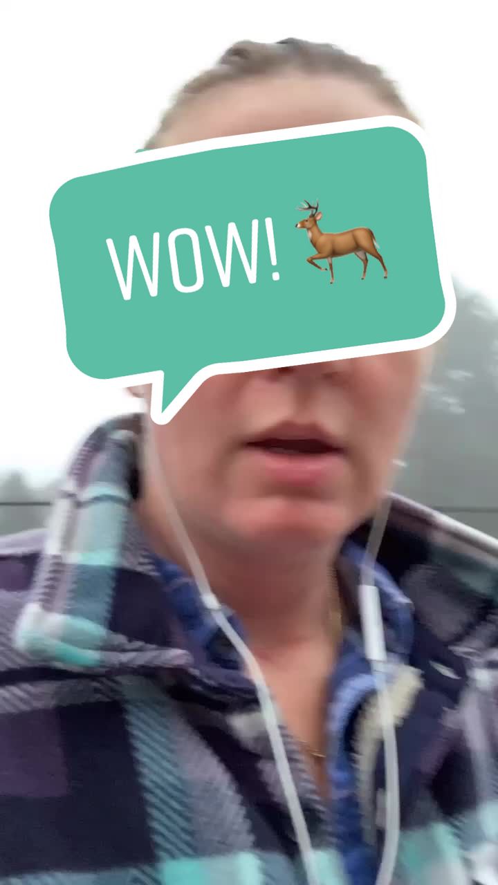 @Hygge in the Now