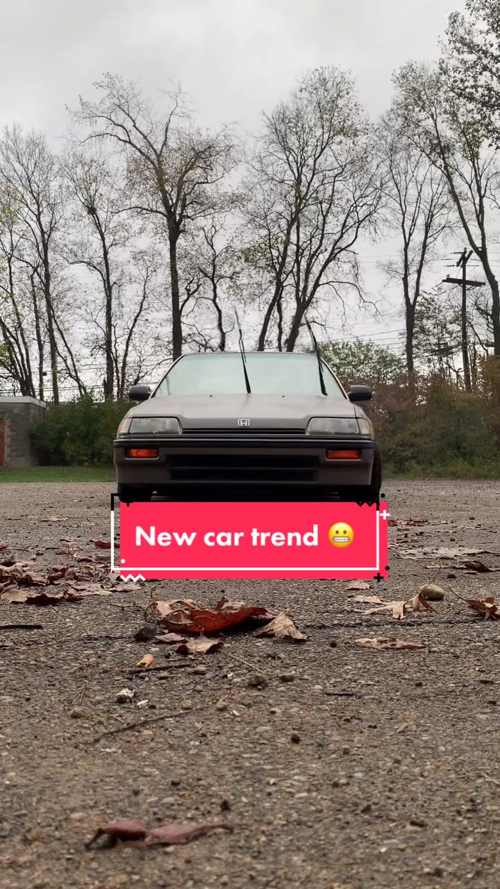 @240_dave