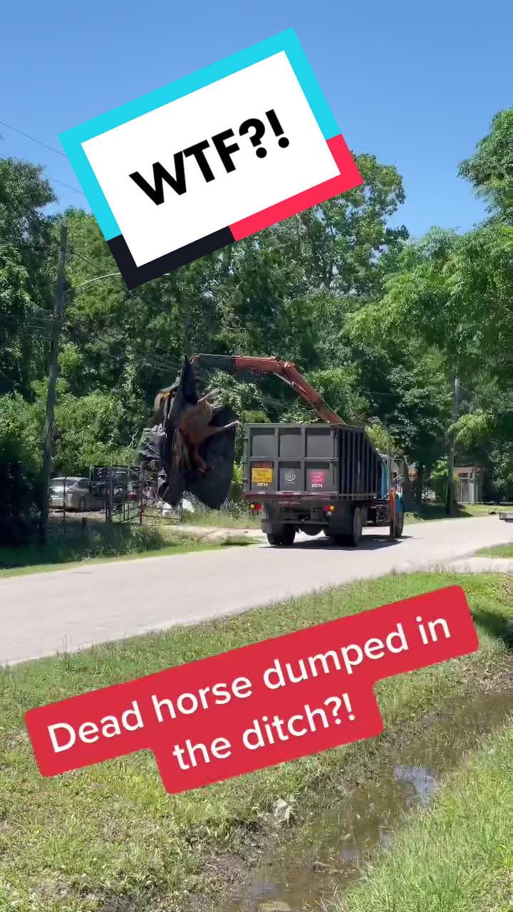 @Houston Vert Ramp