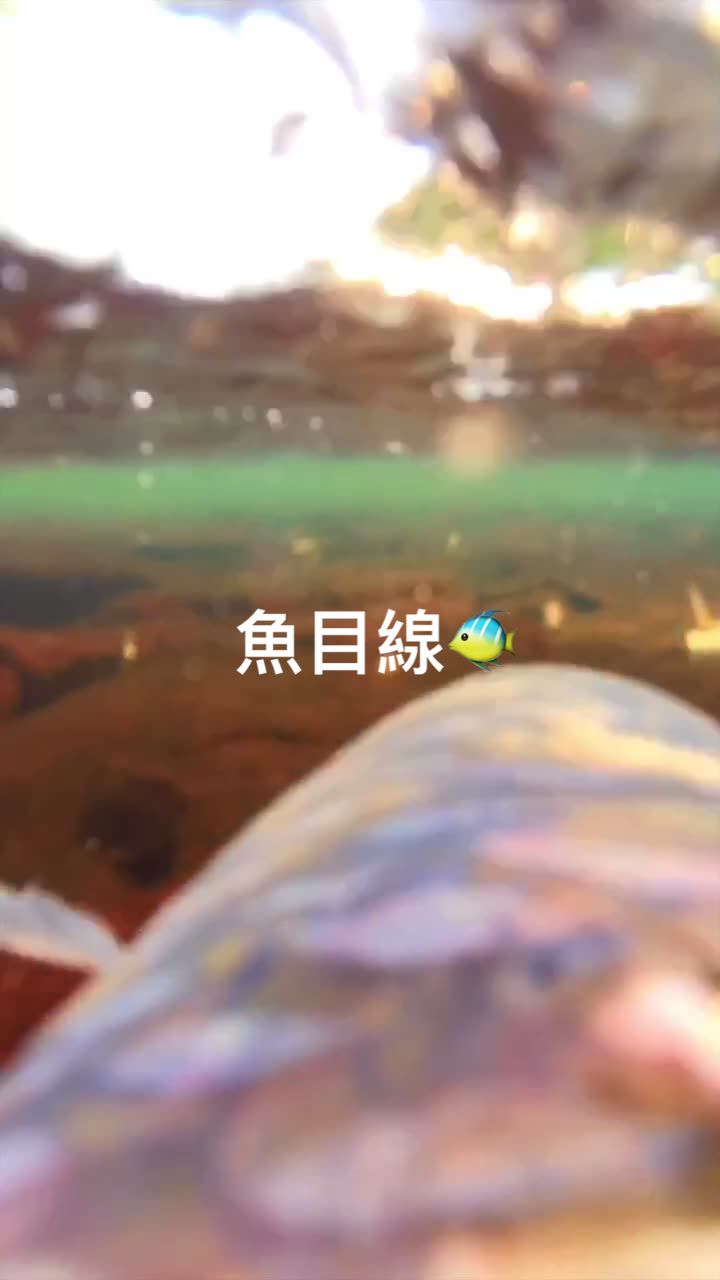 @Insta360 Japan