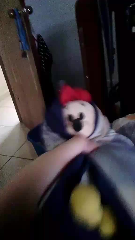 @tiktok plushes