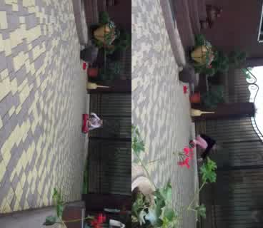 @user02269676720