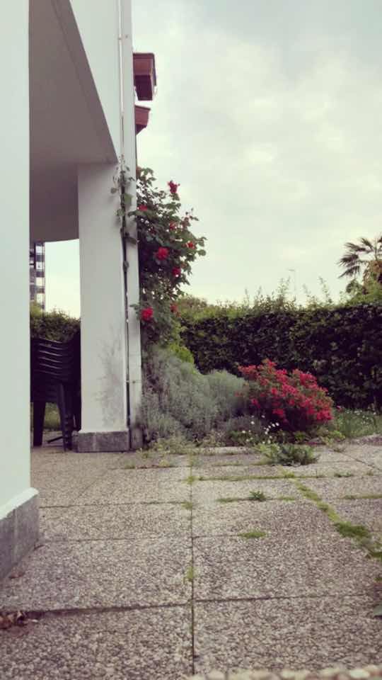 @ciatina