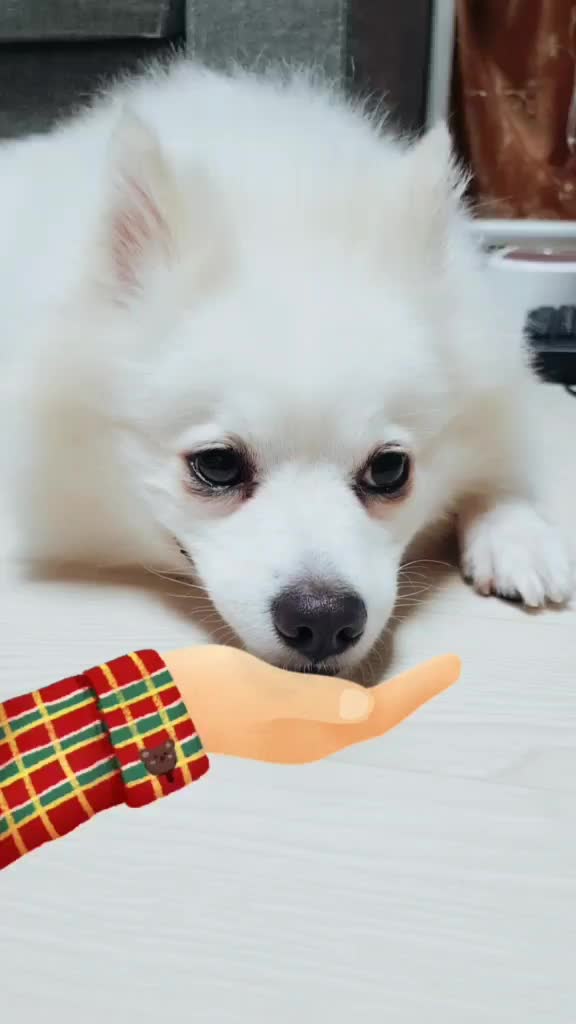 @mongooone