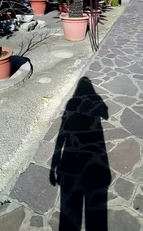 @federica tessitore