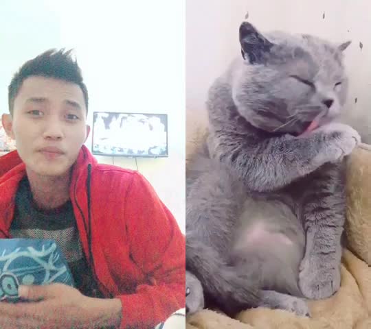 @Ivan Chandra