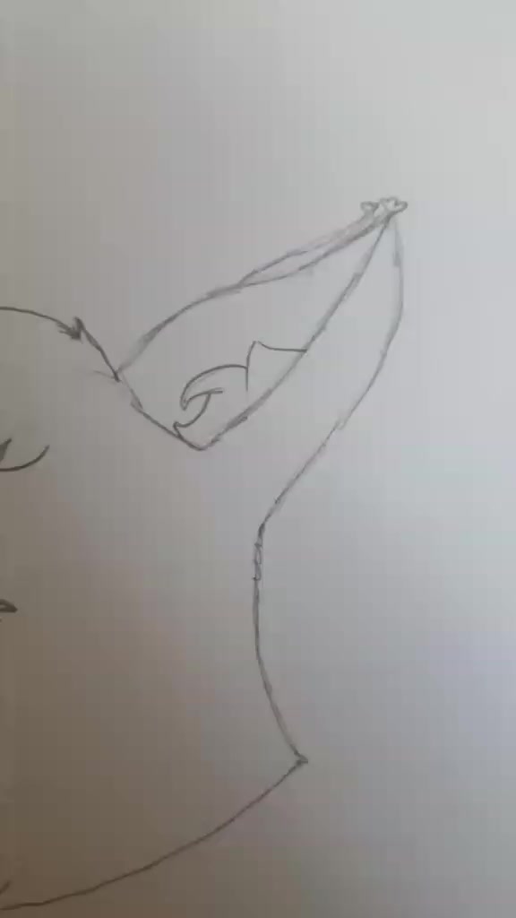 @~Furryart~