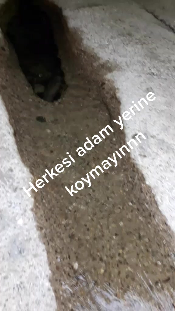 @Esmer esra