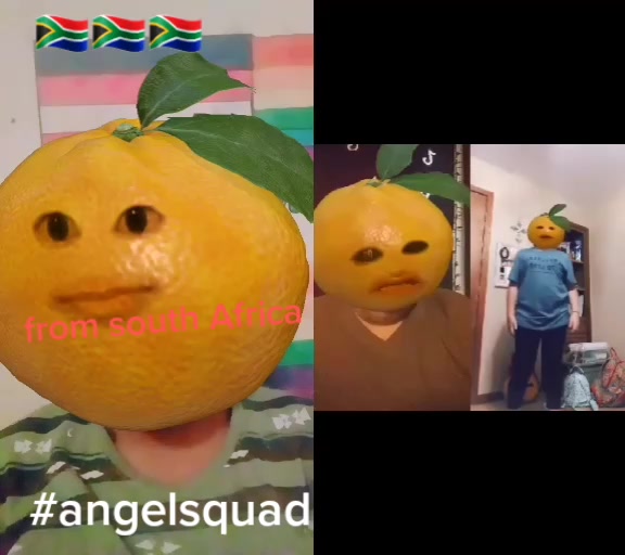 @🇿🇦 afrikaans 🇳🇱