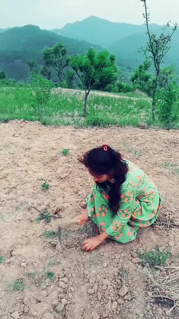@Kiran Negi