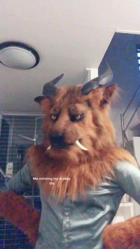 @Shangfudog