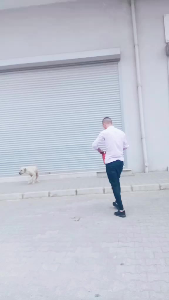 @&Ouml;MER POLAT 🦅