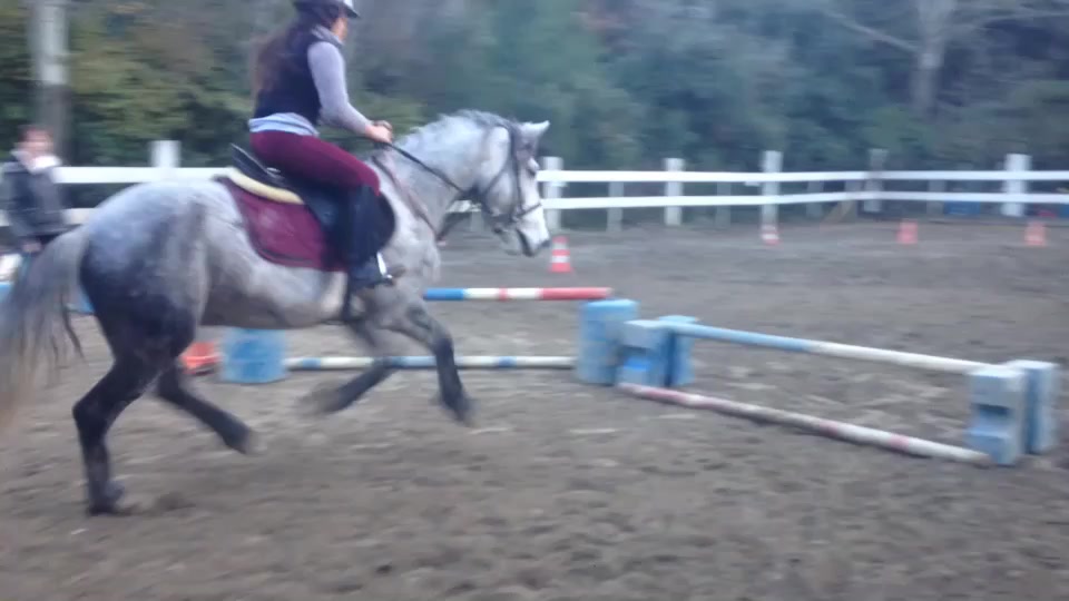 @🐴R&ecirc;ve Compulsif🐴