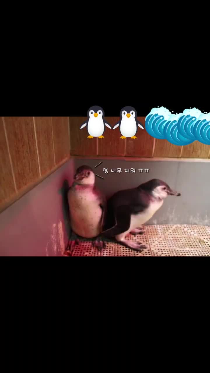 @수지큐