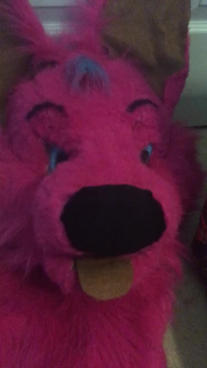 @✨UwU✨