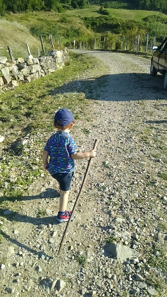 @Şule Şenel