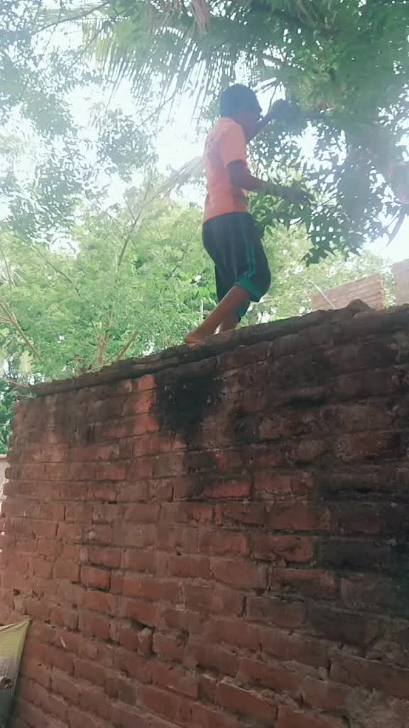 @user9075786841013
