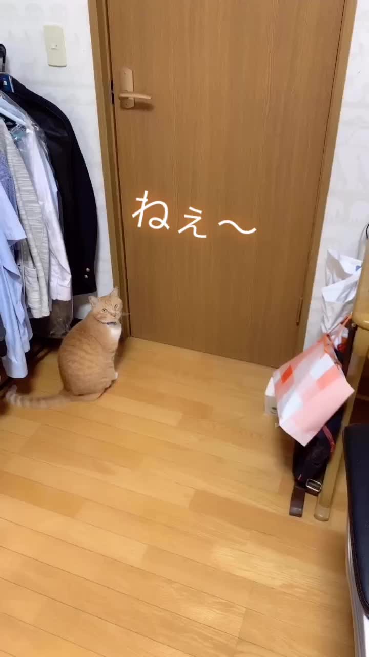@ゆき
