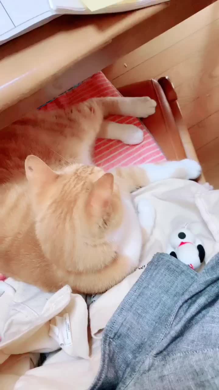 @ゆき