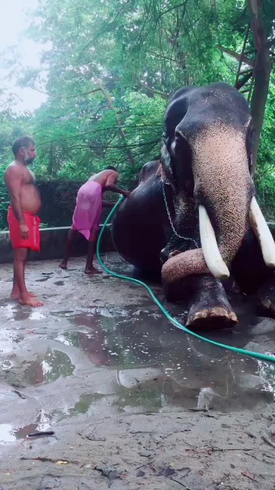@Deepak Suresh