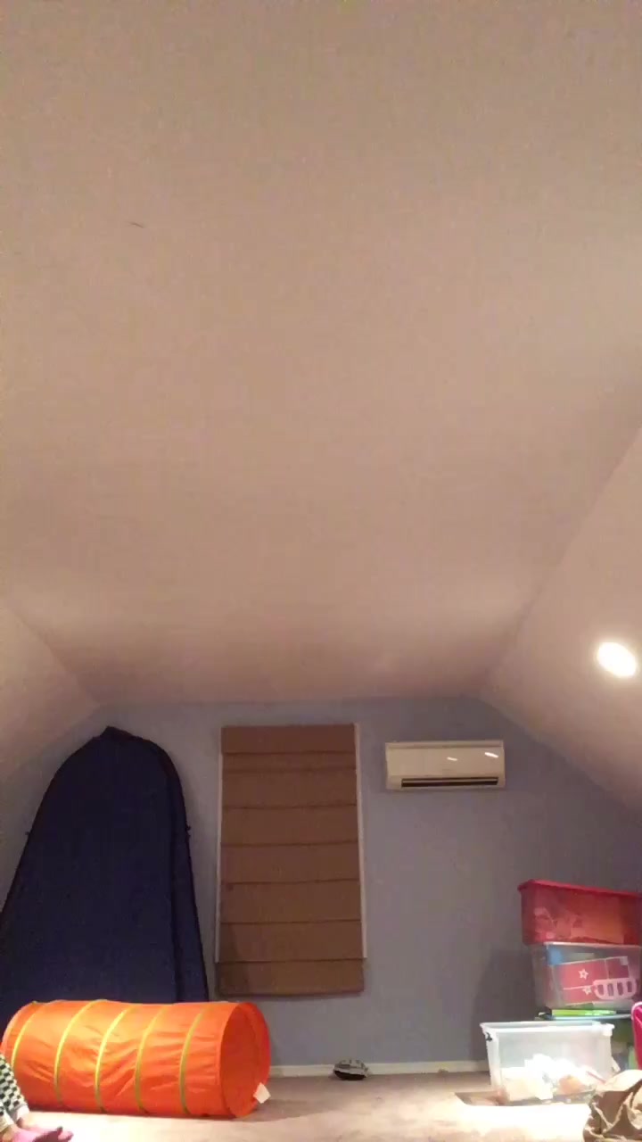 @Ayla