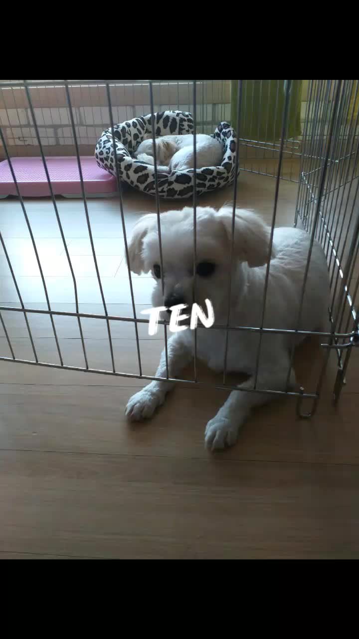 @큐튜버