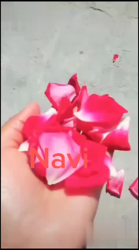 @Navi0786