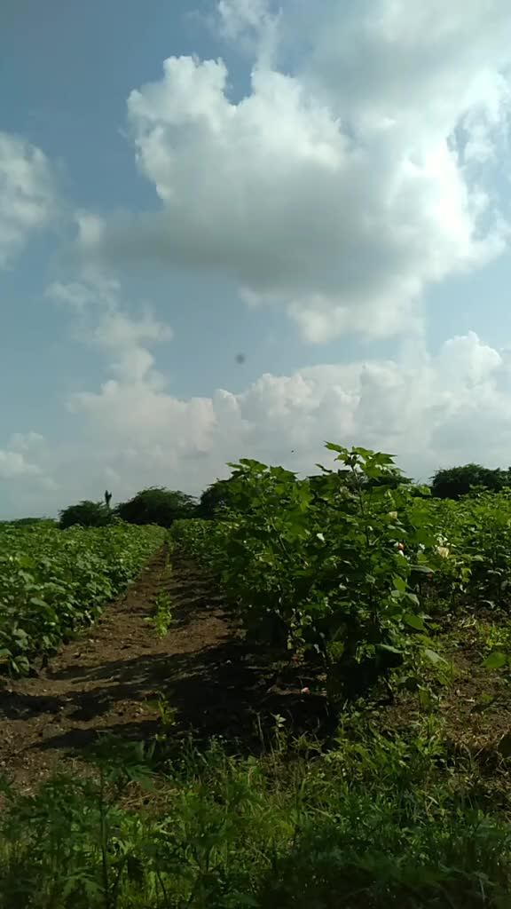 @પીયુષ ઝખવાડીયા