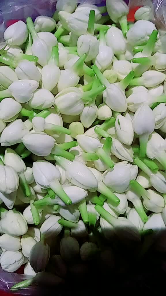 @Rajendran Jasmin