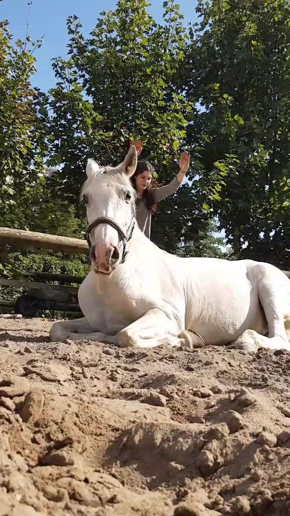 @Lisas kleine Ranch 🐴
