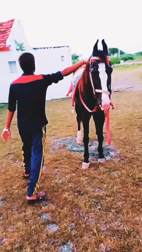 @bhavu_bha_gadhvi_