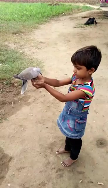 @user849877