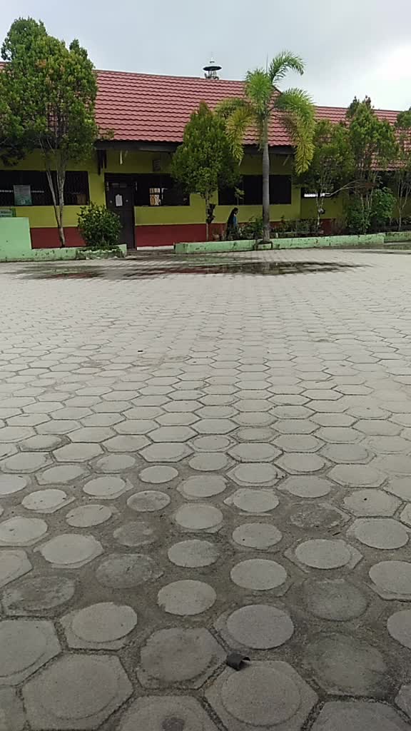 @laidew
