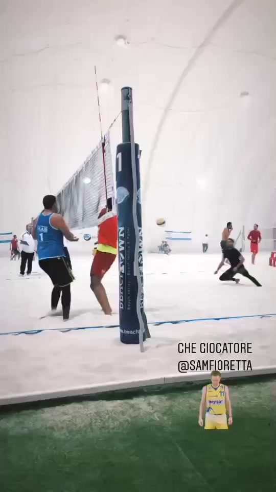 @#seguilgufo 🦉
