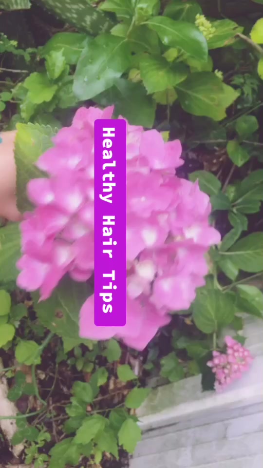 @Just Enjoy Life 😊