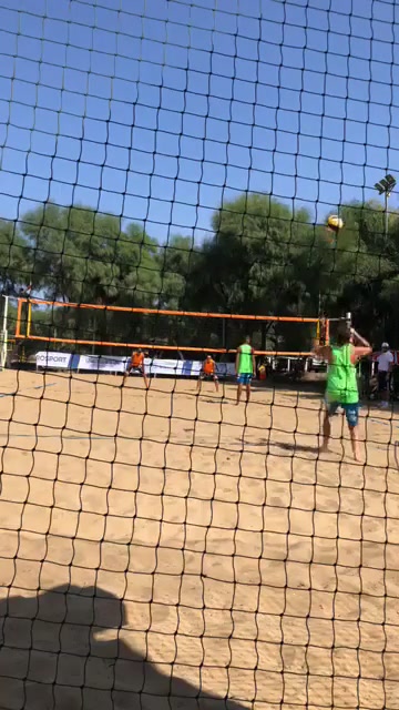 @#seguilgufo 🦉