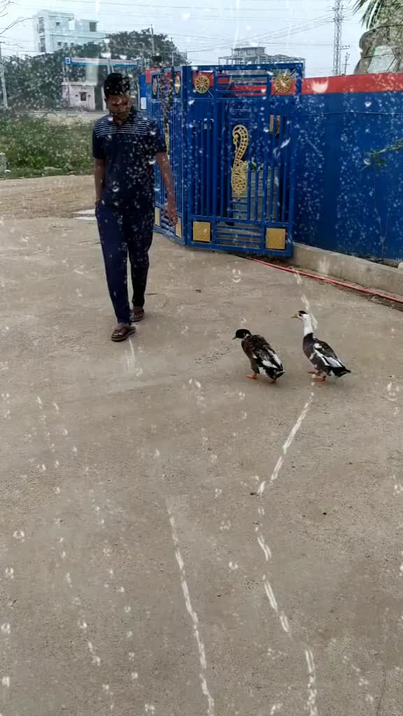 @RamNani...