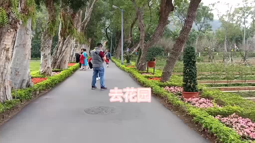 @花子君的八寻宁宁(已退)
