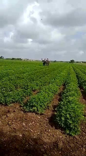 @Dharnanat Gojiya