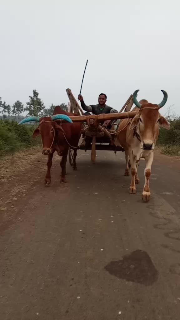 @Deepesh Yadav Ahir