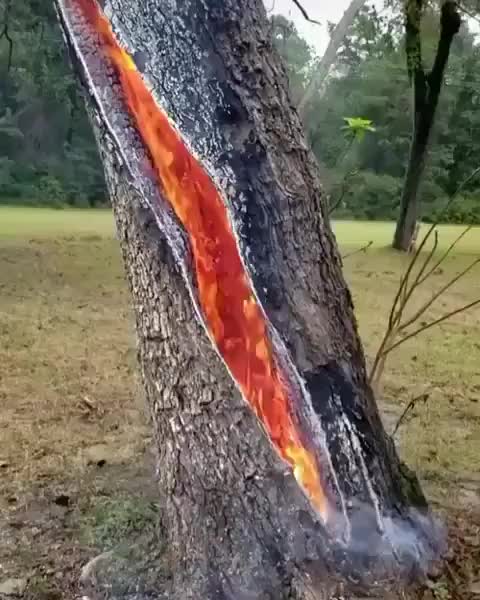 @sufiyan_zehen