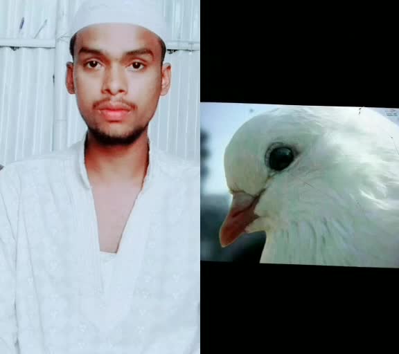 @Sakir_Uddin_03